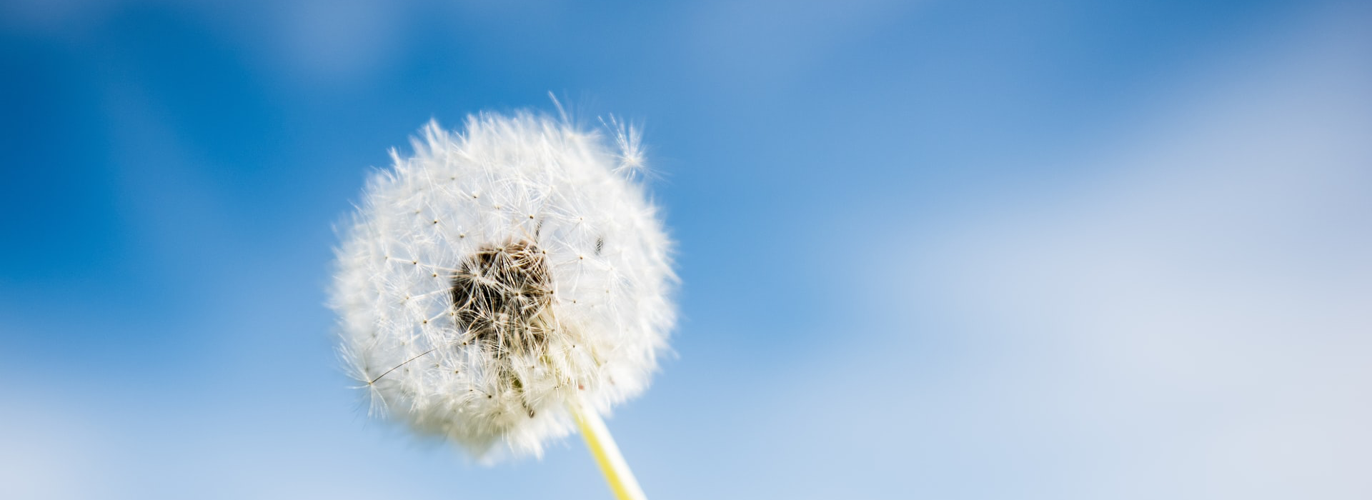 70net���ָߡ�(�й���)���޹�˾����