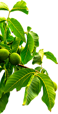 70net���ָߡ�(�й���)���޹�˾����