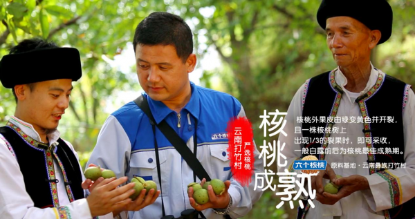 70net���ָߡ�(�й���)���޹�˾����