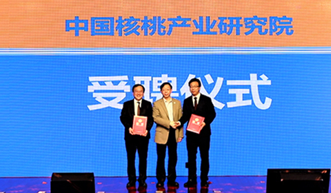 70net���ָߡ�(�й���)���޹�˾����