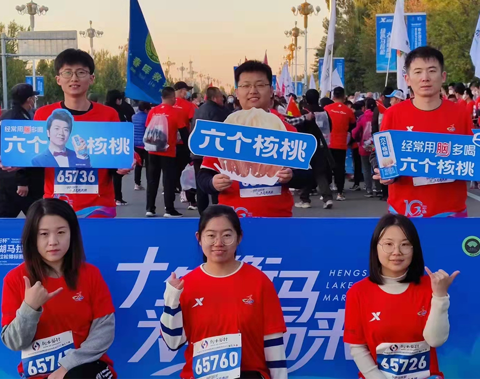 70net���ָߡ�(�й���)���޹�˾����