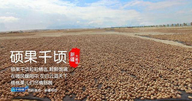 70net永乐高·(中国游)有限公司官网