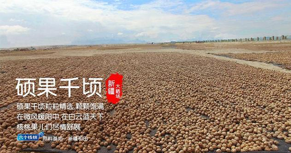 70net���ָߡ�(�й���)���޹�˾����