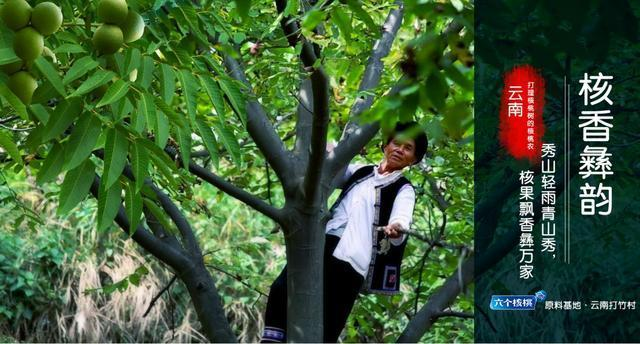 70net永乐高·(中国游)有限公司官网