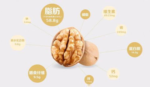 70net���ָߡ�(�й���)���޹�˾����