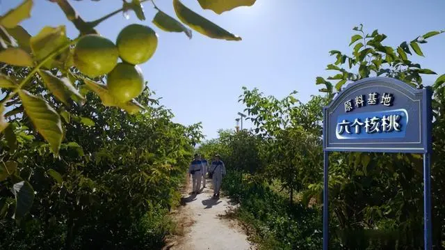 70net���ָߡ�(�й���)���޹�˾����