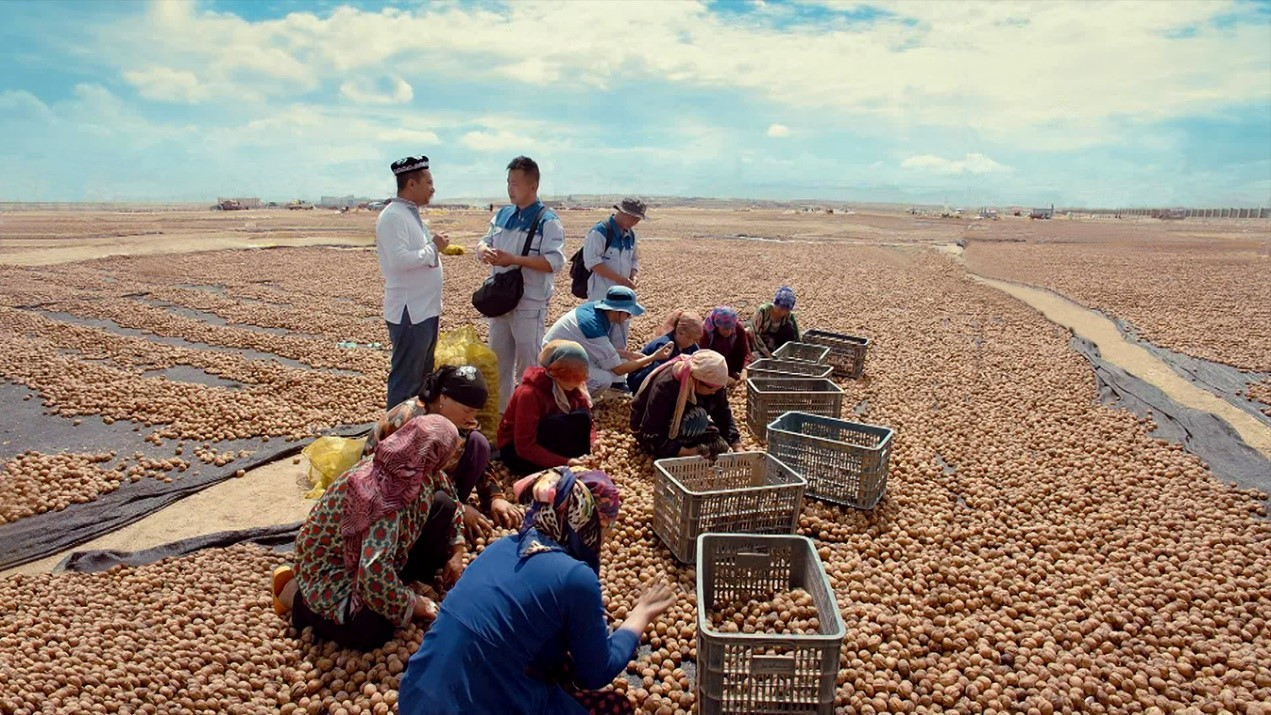 70net永乐高·(中国游)有限公司官网