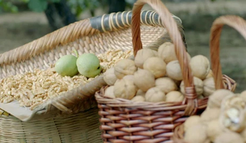 70net���ָߡ�(�й���)���޹�˾����