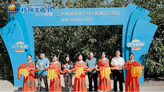 70net���ָߡ�(�й���)���޹�˾����