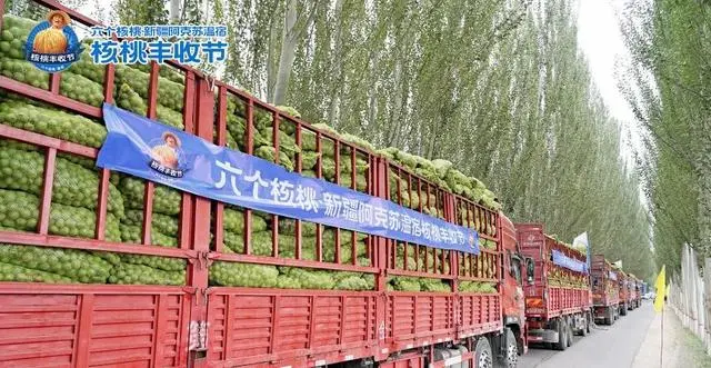 70net���ָߡ�(�й���)���޹�˾����