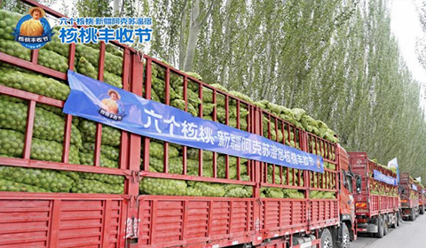 70net���ָߡ�(�й���)���޹�˾����