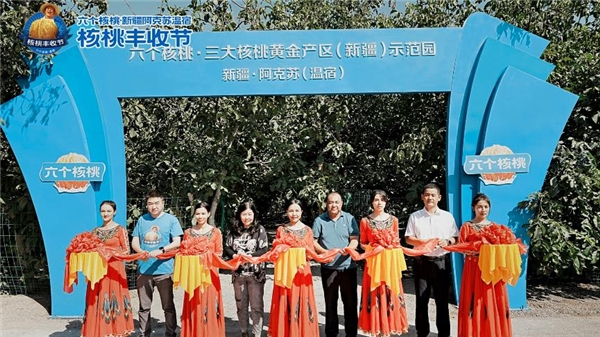 70net���ָߡ�(�й���)���޹�˾����