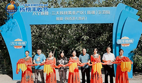 70net���ָߡ�(�й���)���޹�˾����