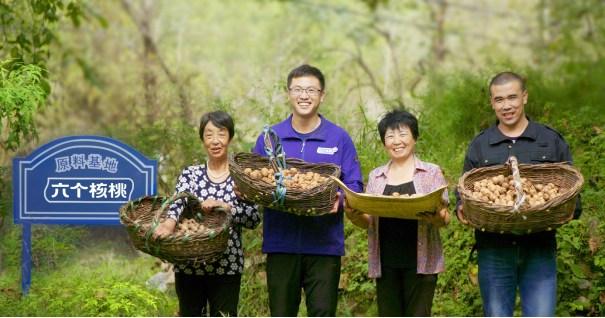 70net���ָߡ�(�й���)���޹�˾����