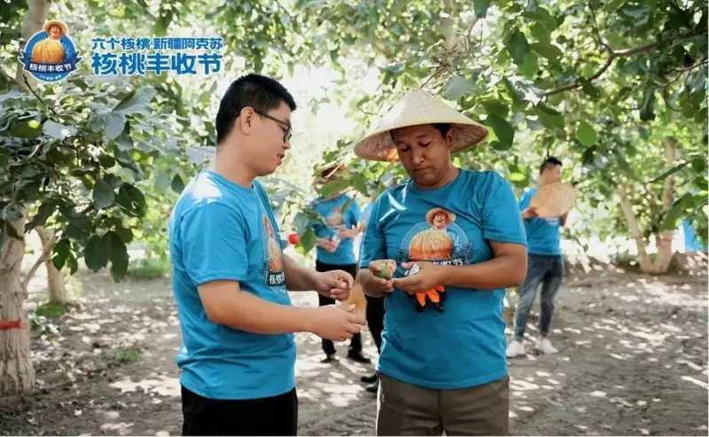 70net���ָߡ�(�й���)���޹�˾����