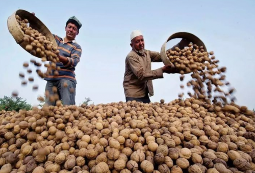 70net���ָߡ�(�й���)���޹�˾����