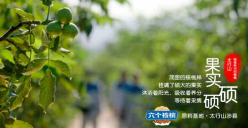 70net���ָߡ�(�й���)���޹�˾����