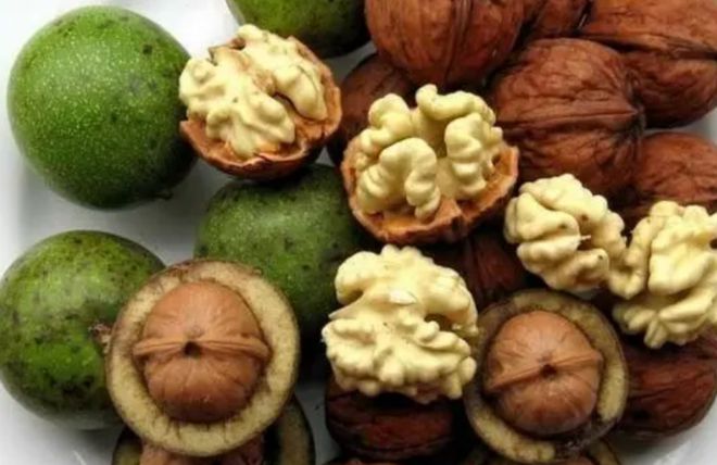 70net永乐高·(中国游)有限公司官网