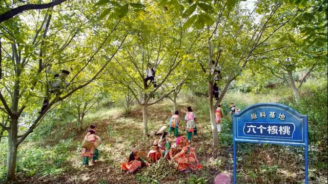 70netÓÀÀָߡ¤(ÖйúÓÎ)ÓÐÏÞ¹«Ë¾¹ÙÍø