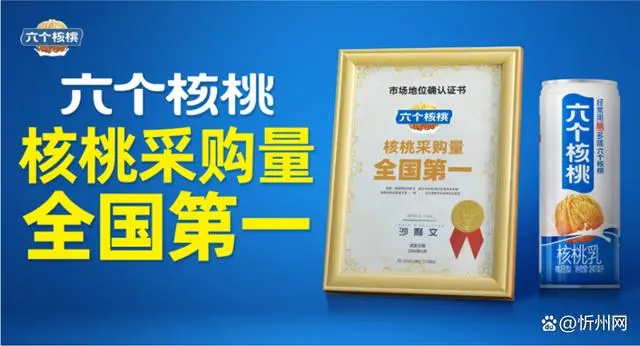 70net���ָߡ�(�й���)���޹�˾����