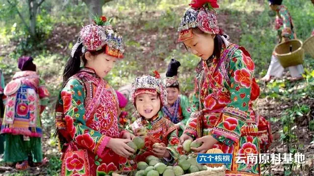 70netÓÀÀָߡ¤(ÖйúÓÎ)ÓÐÏÞ¹«Ë¾¹ÙÍø