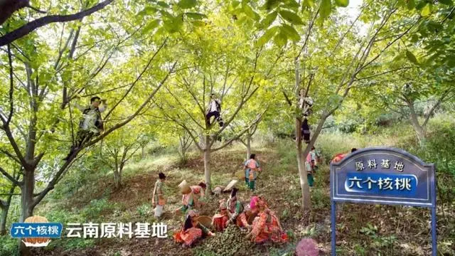 70net���ָߡ�(�й���)���޹�˾����