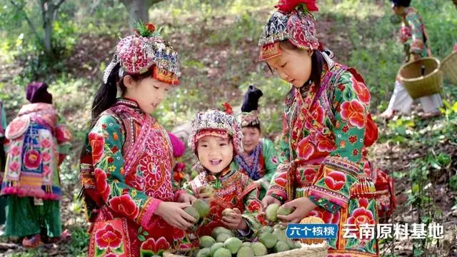 70net永乐高·(中国游)有限公司官网