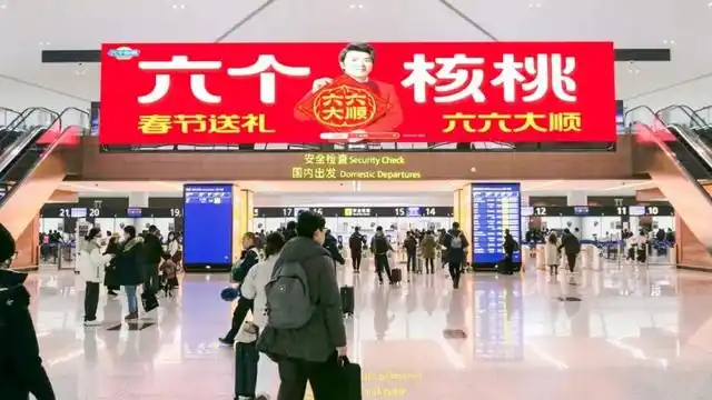 70net���ָߡ�(�й���)���޹�˾����