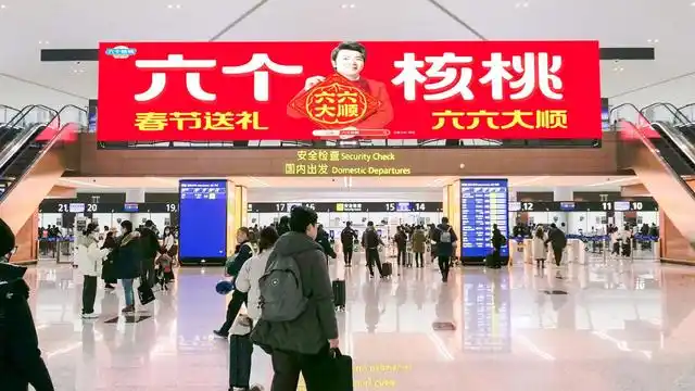 70net���ָߡ�(�й���)���޹�˾����