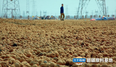 70net���ָߡ�(�й���)���޹�˾����